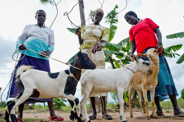 ribbe-aye-teko-womens-income-generating-group