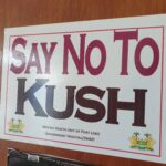 A poster displaying the words 'Say No To Kush' in capital letters