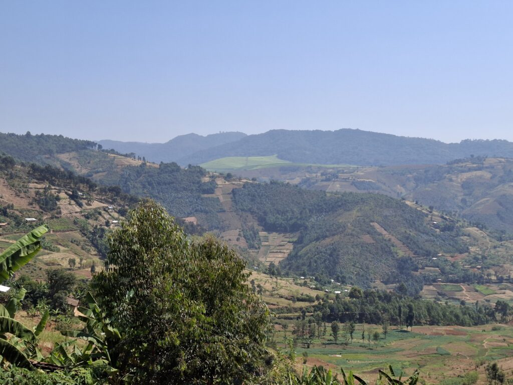 View of a green hilly landscape under a blue sky